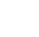 New Opel